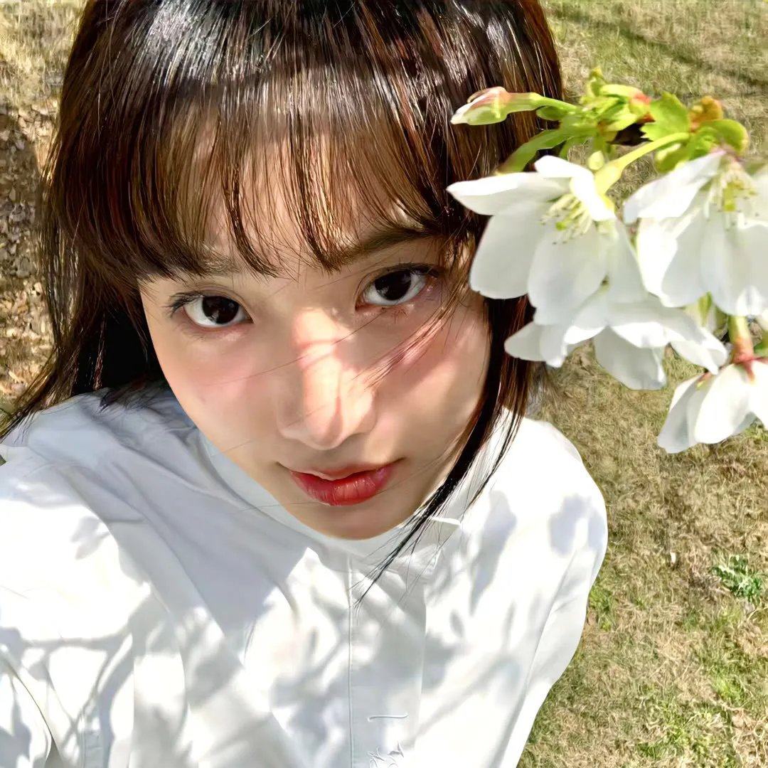燃烧吧!篮朋友 在线播放