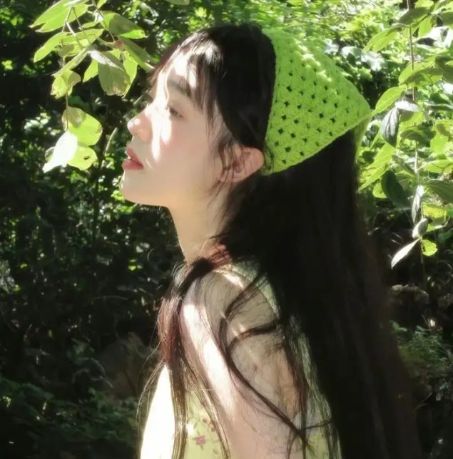 紫禁秘录 在线播放
